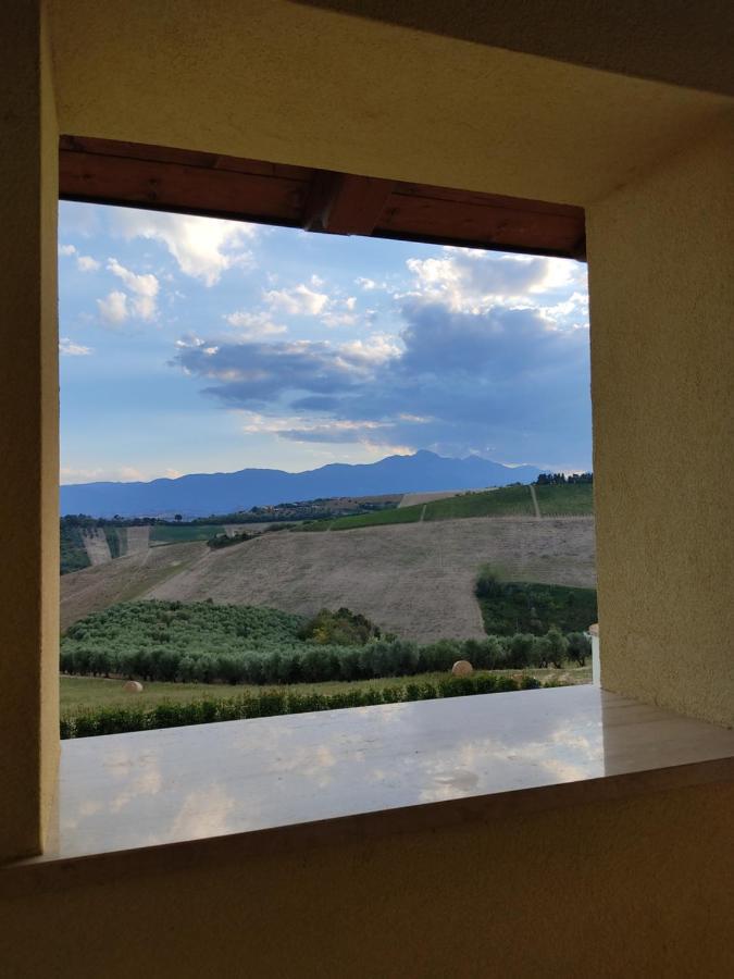 Agriturismo Terra Dei Falchi Castilenti Exteriér fotografie