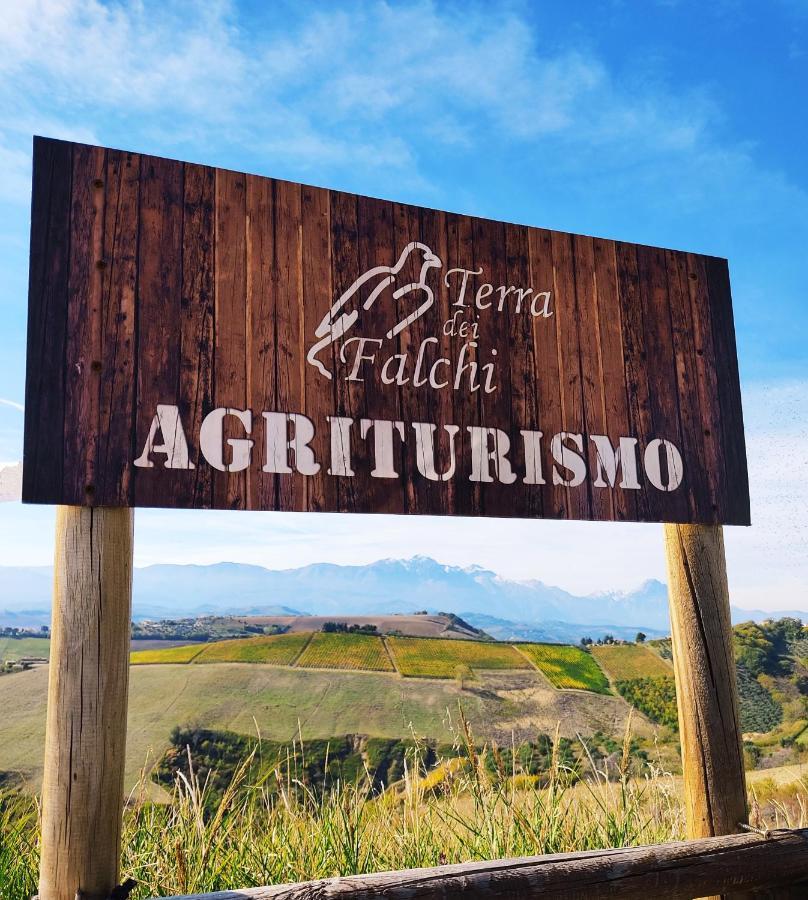 Agriturismo Terra Dei Falchi Castilenti Exteriér fotografie