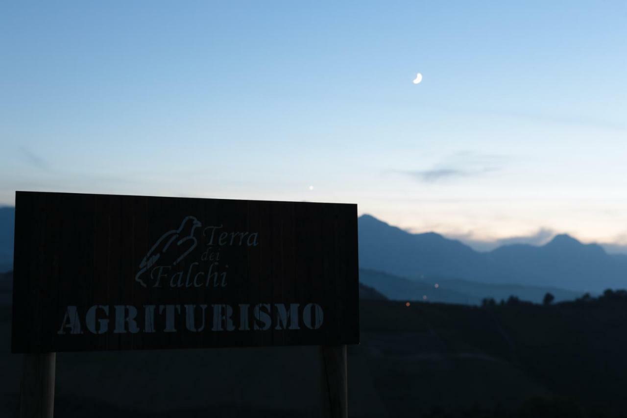 Agriturismo Terra Dei Falchi Castilenti Exteriér fotografie